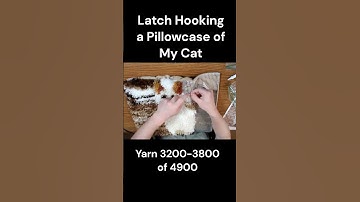 Latch Hook Timelapse (Part 7) #latchhook  #cat