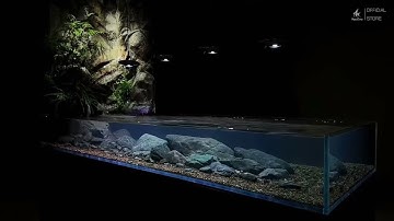 Đèn Zetlight UFO F8 PRO: Sự Lựa Chọn Hoàn Hảo Cho Bể Cá Của Bạn #denbeca #cacanh #beca