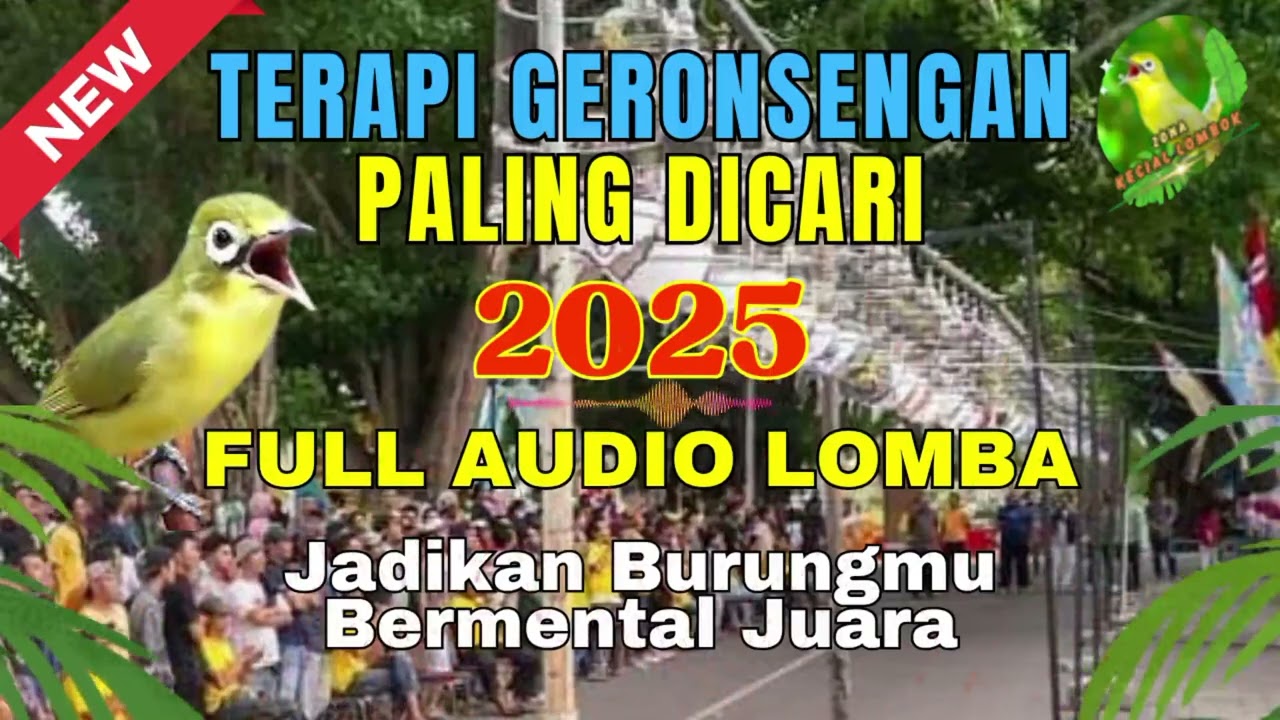GERONSENGAN LOMBA KECIAL KUNING TERBARU 2025 | Masteran Kecial Kuning Lombok Juara