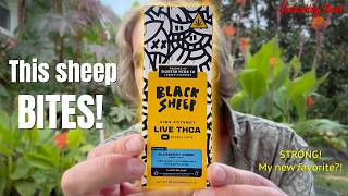 Modern Herb Co Black Sheep - Best Legal Buzz?