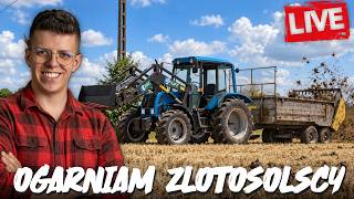 Live - Ogarniamy Save Ze Złotosolskich Holy