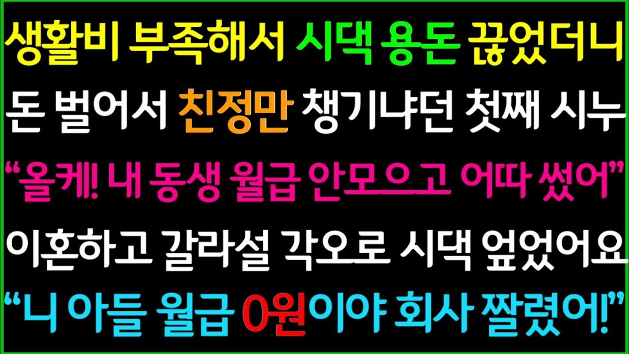 (사이다사연)생활비 부족해서 시댁 용돈을 끊자 돈 벌어서 친정만 챙기냐고 비꼬던 첫째 시누, 남편과 갈라설 각오로 시댁 엎어버리고 사이다 이혼합니다/사이다실화사연/드라마라디오