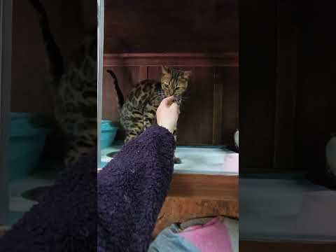 такое утро #помощьбездомнымживотным #енотилюша #ямыилюша #анапа