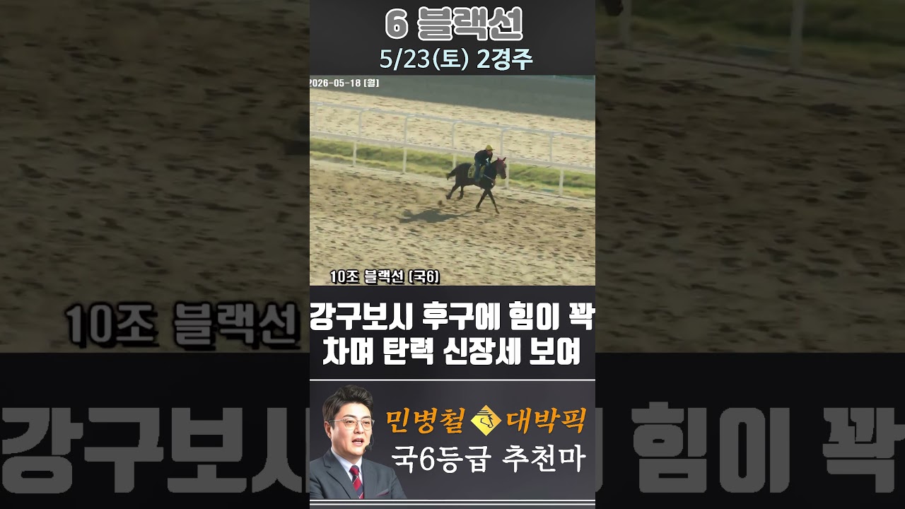 [서울 경마] 민병철 대박픽 2026년 5월 23일 토요 2R 추천마3 #하이라이트 #automobile #경마 #horse #한국마사회 #korean #비트코인 #게임 #뉴스
