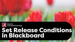 Set Release Conditions in Blackboard