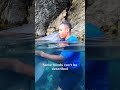 Incredible Human Dolphin Bond In Bermuda 