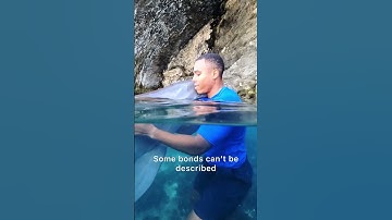 Incredible human & dolphin bond in Bermuda!