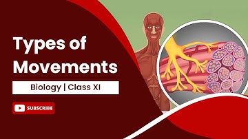 Types of Movements | Locomotion and Movement | Biology | Class 11