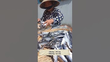 Đặc sản cá phơi khô miền tây. #shorts