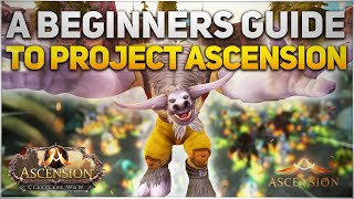 A Beginners Guide to Project Ascension - All You Need To Know - Random WoW Server\/Mod