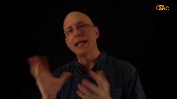 Understanding Contemporary Art 2.4 Paul Thek by John David Ebert