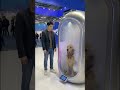 dog beauty salon
