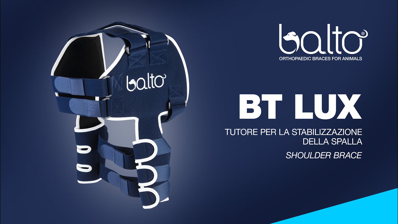 dog shoulder stabilization brace