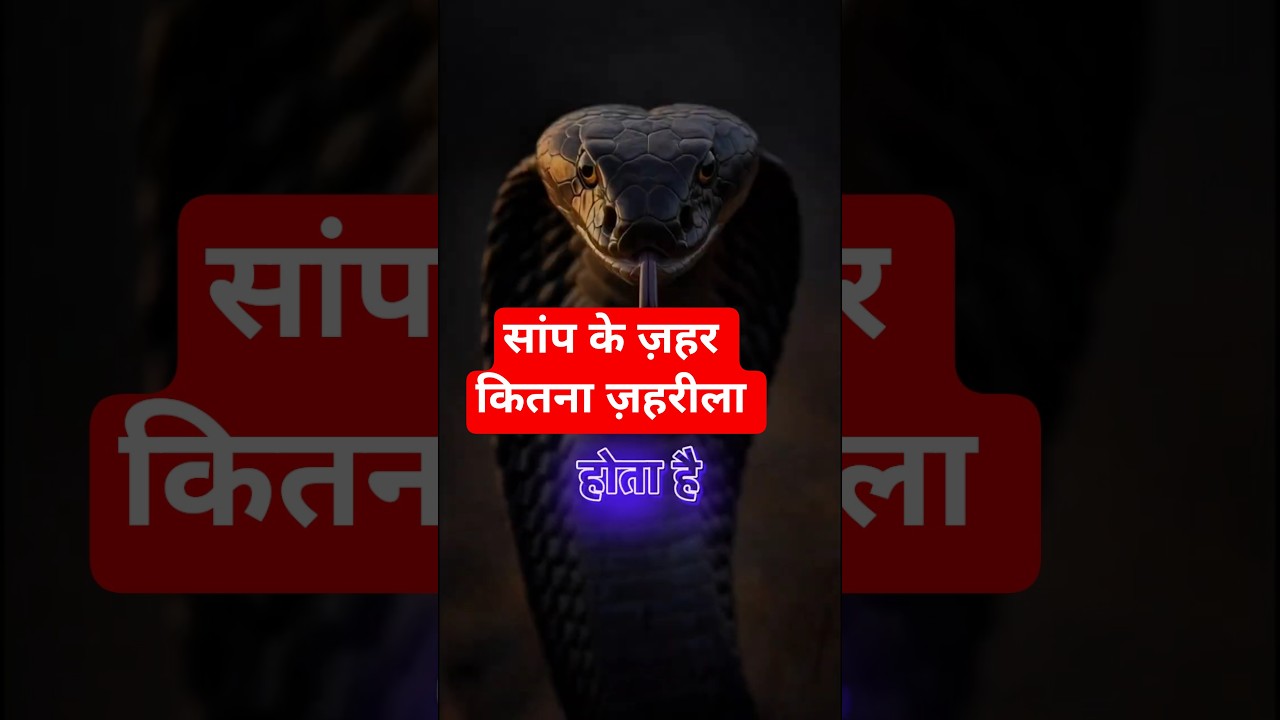 Snake Venom Facts | Neurotoxic vs Hemotoxic 