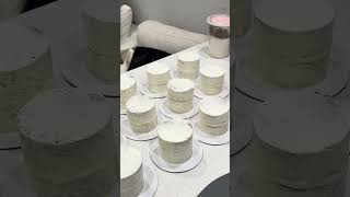 Micro Cakes For A Baby Shower