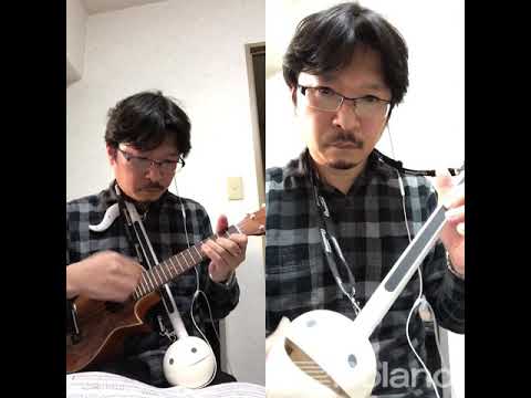 オタマトーン& ウクレレ ああ電子戦隊デンジマン マンドリン mandolin