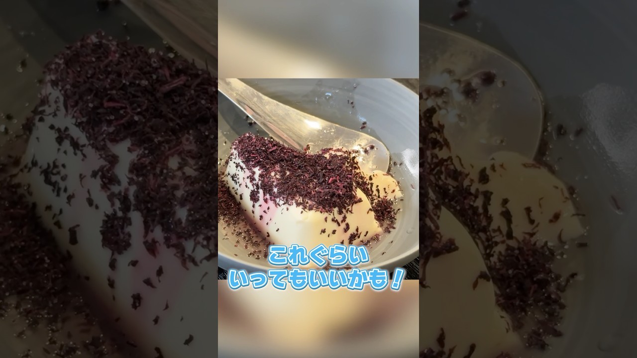 SNSでバズったあの豆腐が本当に旨いのか検証します #PR #宝酒造