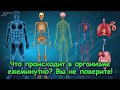 ЧТО ПРОИСХОДИТ В ОРГАНИЗМЕ ЕЖЕМИНУТНО? Вы не поверите!