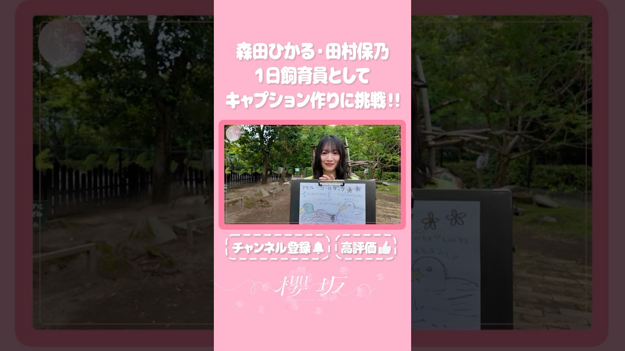 【⬆️本編はコチラ⬆️】森田村が動物のキャプション描いてみた！🎨【ダイジェスト 】#shorts #櫻坂チャンネル