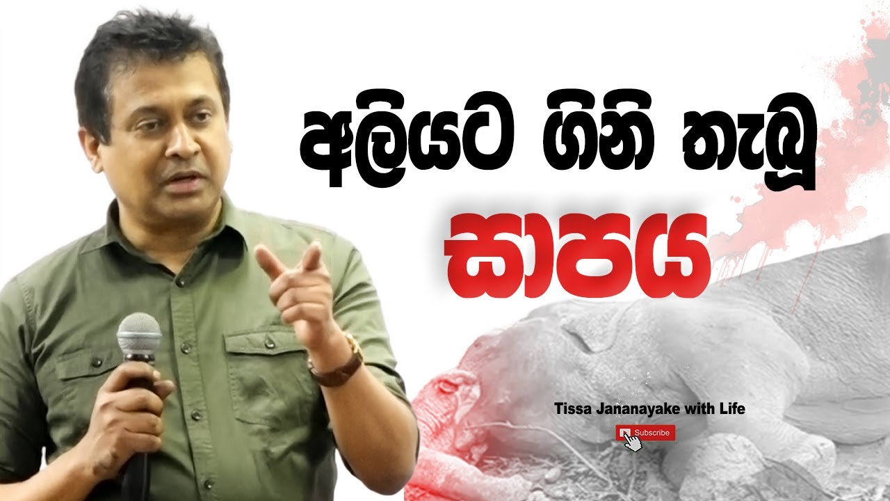 අලියට ගිනි තැබූ සාපය I Tissa Jananayake with Life (EP 205)