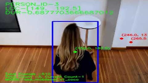 People Counter (SSD v1) #intel #openvino #edge #ai