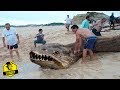 LOS 10 ANIMALES MAS RAROS E INCREÍBLES DE LAS PROFUNDIDADES DEL MAR