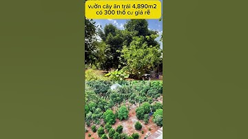 kẹt tiền ngân hàng nên cần bán gấp vườn cây ăn trái ở BR - VT #bấtđộngsản #batdongsan #bdsvungtau