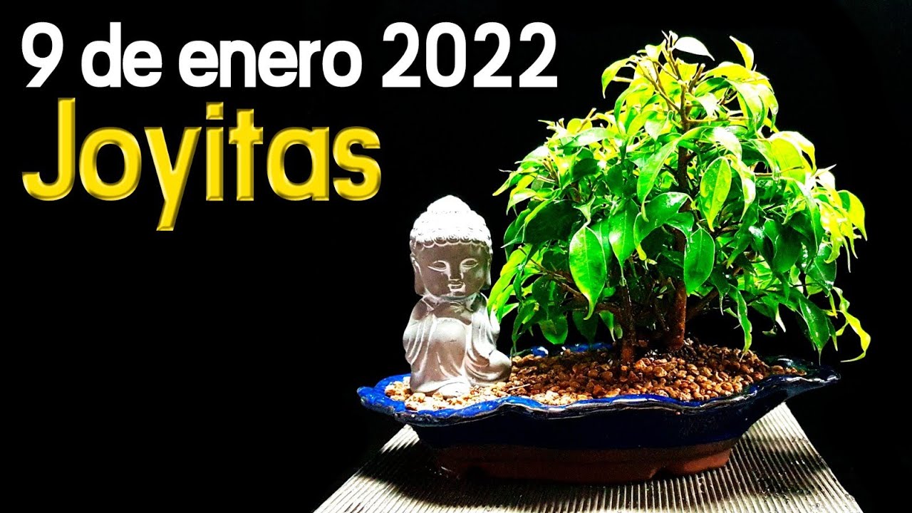 Joyitas a la venta 9 de enero de 2022