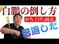 【倍返し】横綱・白鵬の倒し方 弱点暴露 大鵬・貴乃花 相撲界最強は？