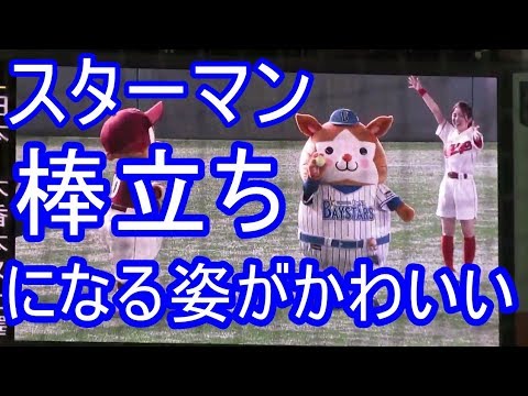 スターマンがかわいい 遠投競争で遠投できず棒立ちになるスターマンw Youtube
