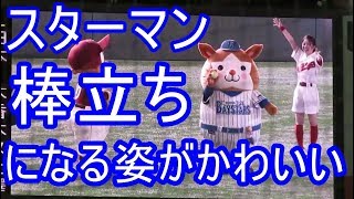 スターマンがかわいい 遠投競争で遠投できず棒立ちになるスターマンw Youtube スターマンがかわいい 遠投競争で遠投できず棒立ちになるスターマンw Youtube