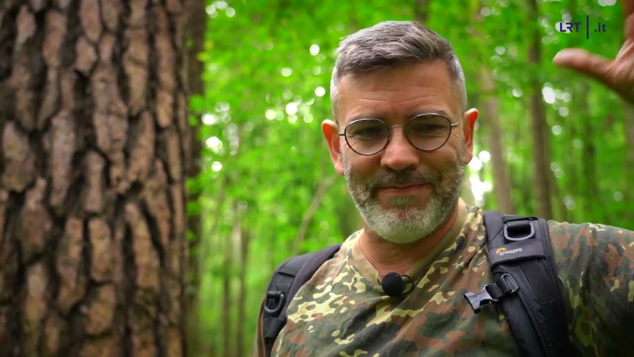 Potencialių sengirių miškais grožėjęsis Čepulis vėliau išvydo kirtimą: neliko ir tikėjimo