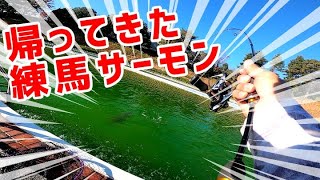【攻略！西武ゆうえんちフィッシングランド】帰ってきた練馬サーモンをGET！！