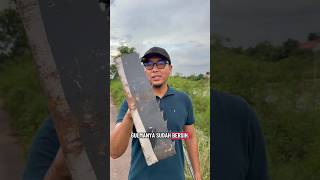 Cangkul gulma multifungsi #bengkelkayu #garukangulma