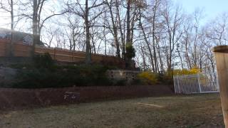 Blade 450x hovering in the back yard