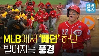 '킹캉' 과 '야생마' 한판 붙을 뻔 한 MLB 피츠버그와 신시내티의 전투(?)