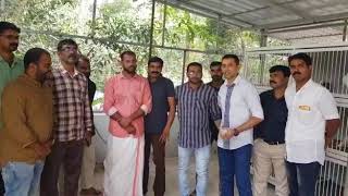 Loft Inauguration At Malappuram Dt. Npa Pigeon Hobby Pigeon Loft