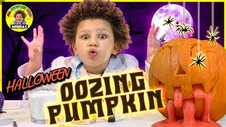 OOZING PUMPKIN || Super Easy HALLOWEEN science experiment for kids