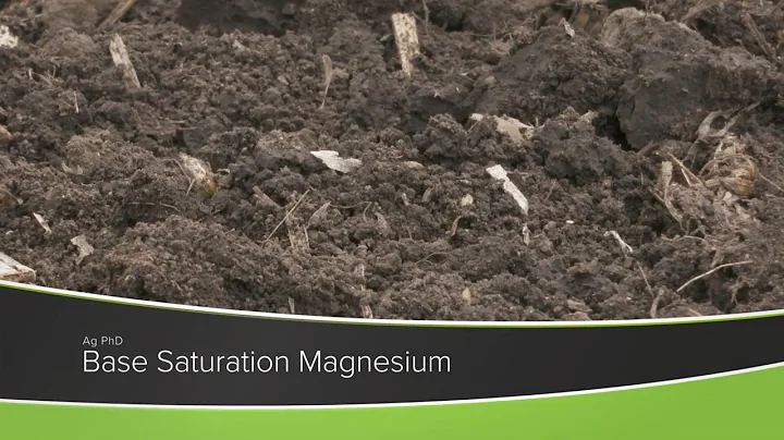Base Saturation Magnesium (From Ag PhD Show #1175 - Air Date 10-11-20)