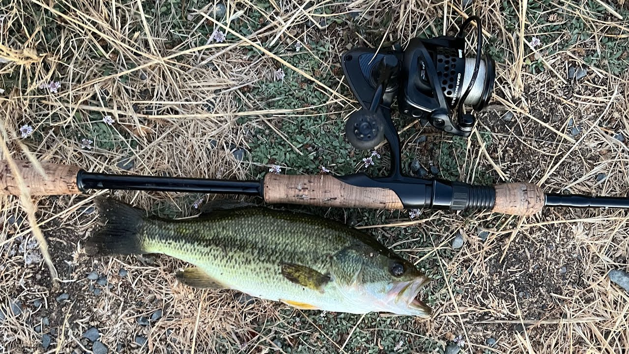 bass-fishing-at-bon-tempe-lake-finally-back-youtube