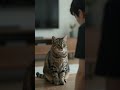 Your Cat NEVER Forgives You—And It's Holding Grudges for YEARS! 🐱💥