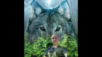 SOUND FORGE Pro 16.0 Suite (x64)