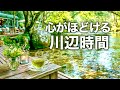 【初夏の癒し音楽】川のせせらぎと緑に癒される午後|心を整えるリラックスBGM・作業用・読書用