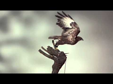 Havana Vita Bella Criswell Official Remix