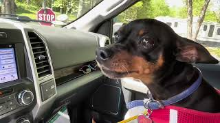 Smokey Mountains Newport Tennessee KOA Journey