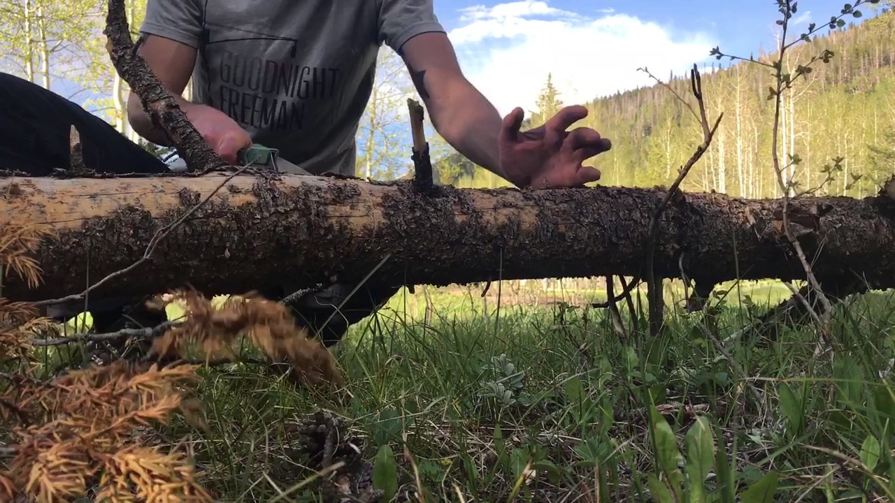 The best camping saw to cut firewood 🔥 YouTube