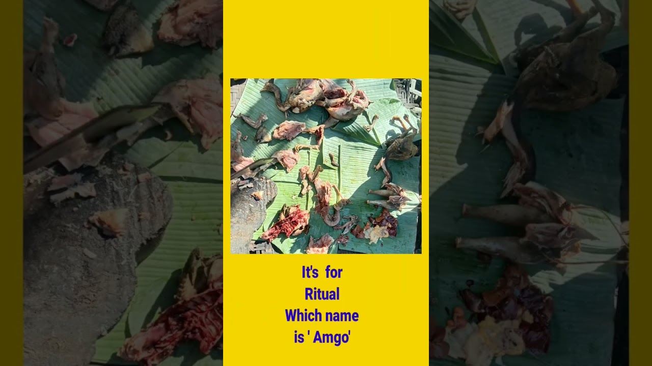 Ritual of Mising Tribes