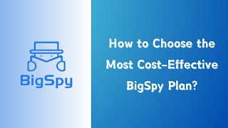 How To Choose The Right Bigspy Plan?