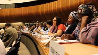 Download lagu Myrtle Witbooi, IDWF President, speaks at the ILC 2014 on May 29