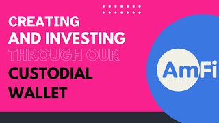 Creating a custodial wallet and investing in AmFi platform screenshot 4